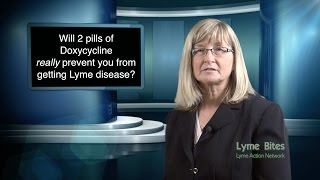Test For Lyme Disease Barre Vermont